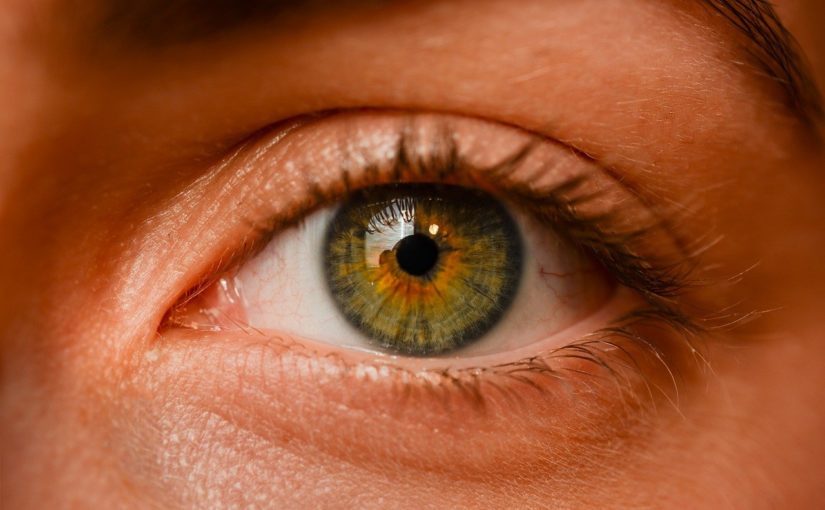Oczy to niezwykły organ. To dokładnie dzięki nim spostrzegamy.